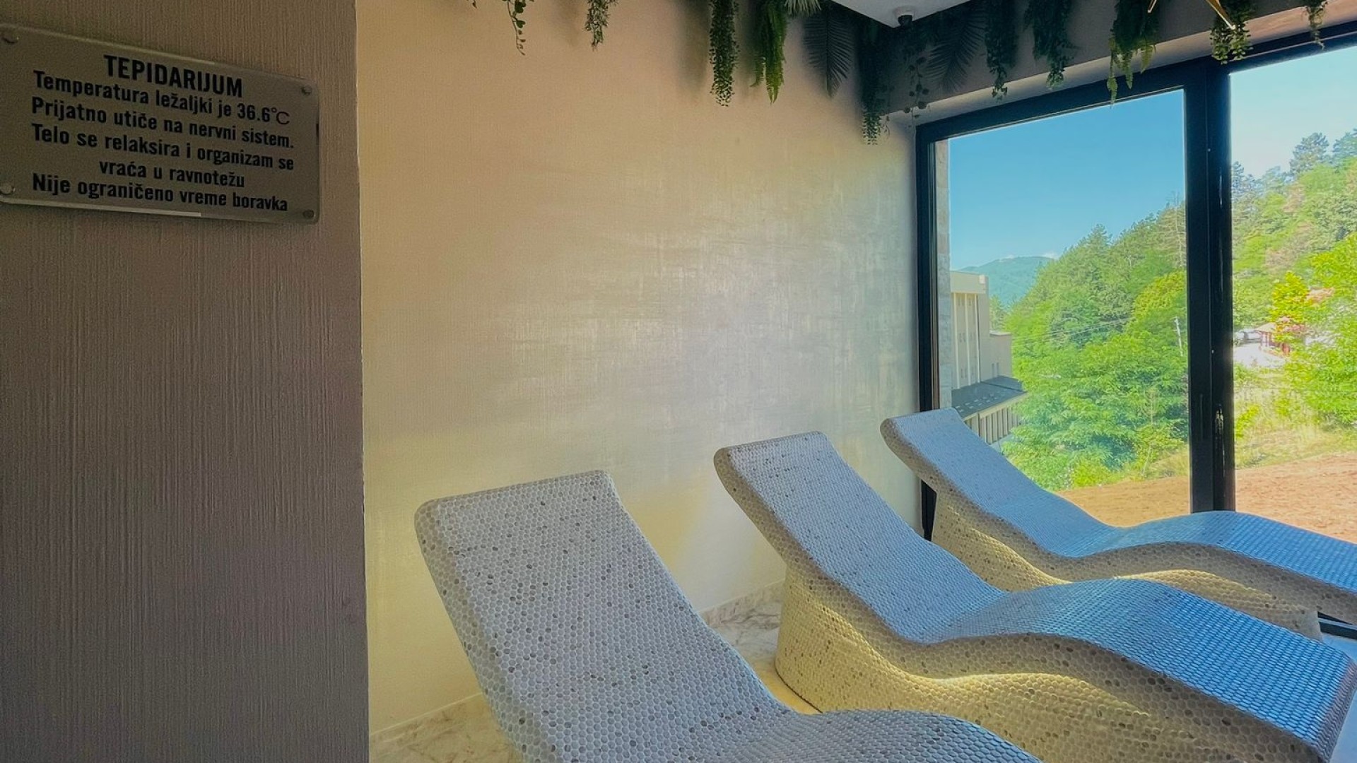 Terme 36,6 2